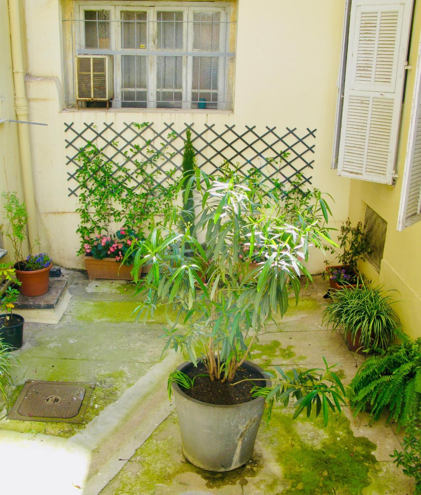 Place Wilson Nisa Exterior foto